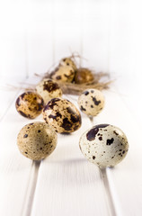 Obraz premium Quail eggs