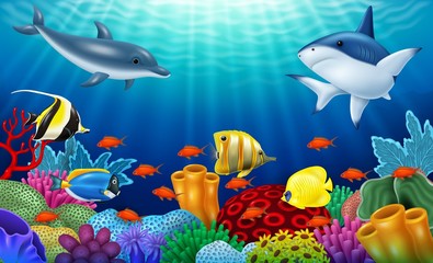 Fototapeta na wymiar Beautiful underwater world with corals and tropical fish.