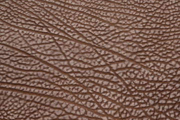 Fototapeta premium brown cow structure leather full background