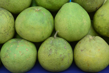 pomelo fruit