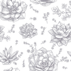 Hand-drawing ink succulents. Seamless pattern.