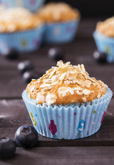 Oat muffins with blueberries on a dark wooden background 