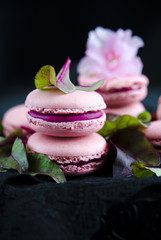 Obraz na płótnie Canvas Pink macarons with beetroot cream