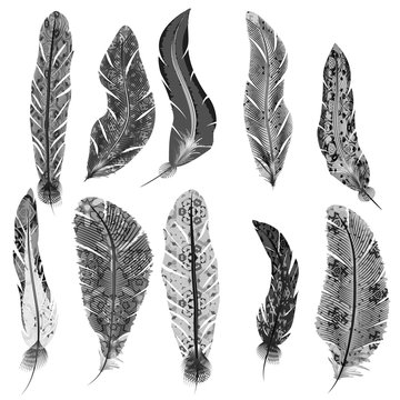 Vector set of feathers