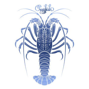 recommend clip art: Graphic vector crayfish