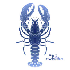 Graphic vector lobster