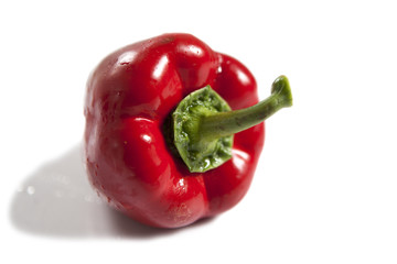 poivron rouge