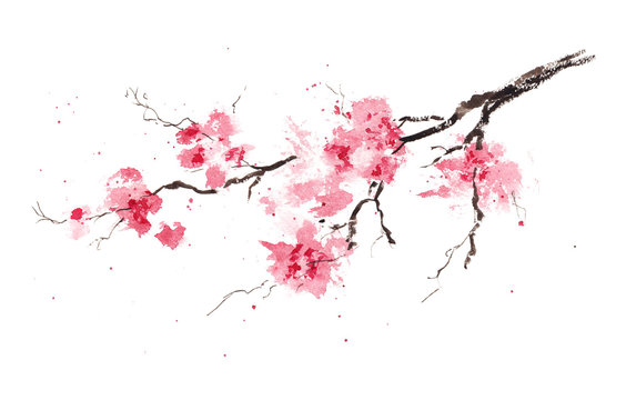 Sakura branch. Original watercolor painting.