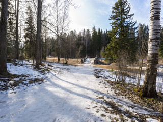 March day in Pavlovsk Park, St.Petersburg, Russia.
