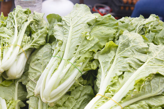 white lettuce on sale in Thailand market