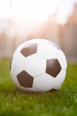 Fototapeta premium Football or soccer ball on green grass.