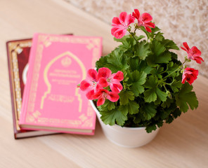 Beautiful geranium with of books, closeup