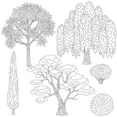Black and white outlines trees and bushes.