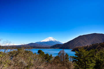 Fototapeta premium Mt Fuji widziane nad jeziorem