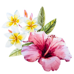 Watercolor hibiscus flower