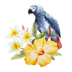 Watercolor hibiscus flower and parrot