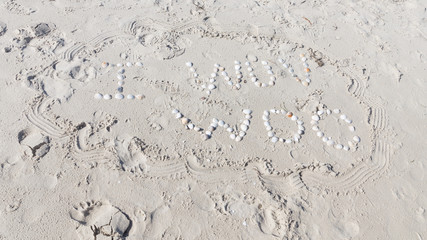 I wuv woo, on the beach