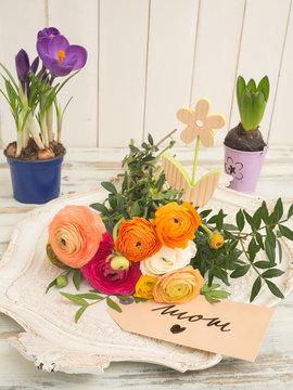 Sch&ouml;ne Fr&uuml;hlingsblumen mit einer Textnachricht Mom