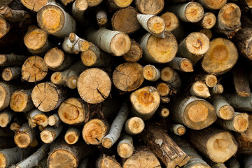 image of stacked logpile and wood texture
