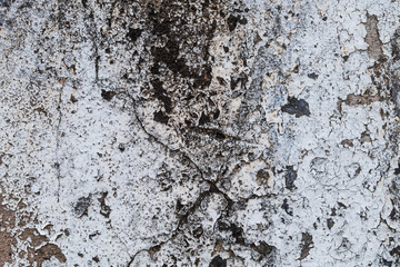 old concrete wall.