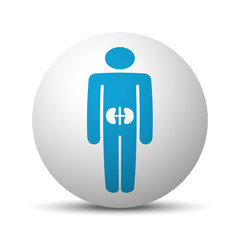 Blue Kidneys icon on sphere on white background