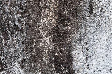 old concrete wall.