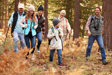 Multi generation family hiking in a forest, California, USA