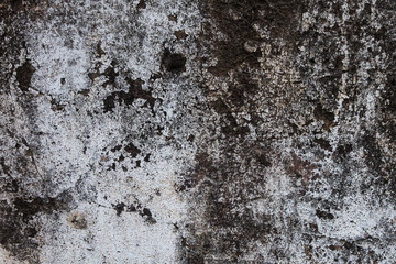 old concrete wall.