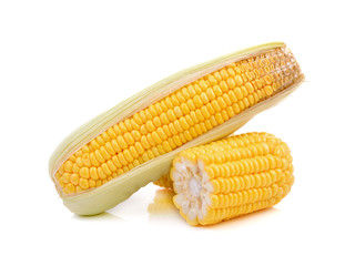 Corn on  white background