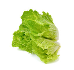 lettuce leaves isolated on white background