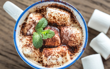Cup of cocoa with marshmallows and cocoa powder