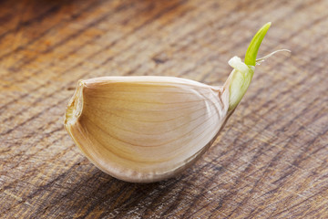sprouting garlic clov