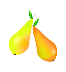 Two yellow orange pears