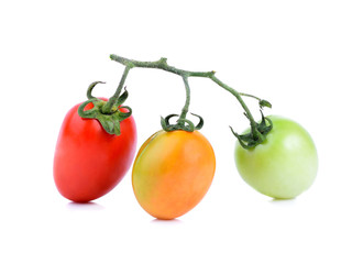 tomato on the white backgound