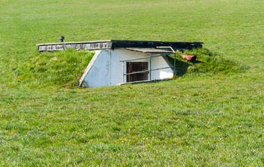overgrown bunker