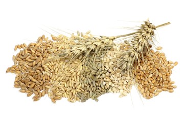 Getreidekörner (Dinkel, Hafer, Roggen, Gerste, Weizen) isoliert auf weißem Hintergrund - obrazy, fototapety, plakaty
