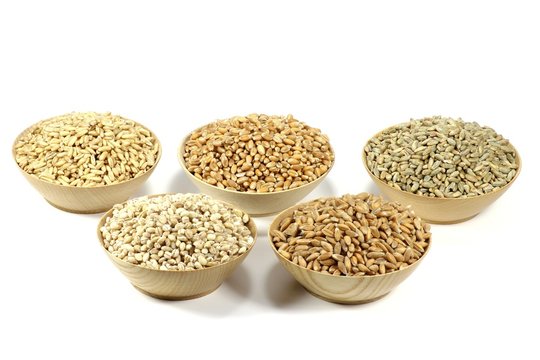 Getreidekörner (Dinkel, Hafer, Roggen, Gerste, Weizen) in Holzschalen  isoliert auf weißem Hintergrund Stock Photo | Adobe Stock