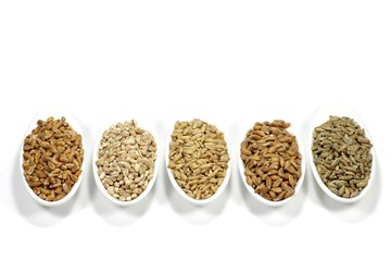 Getreidekörner (Dinkel, Hafer, Roggen, Gerste, Weizen) in Keramikschalen isoliert auf weißem Hintergrund