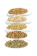 Getreidekörner (Dinkel, Hafer, Roggen, Gerste, Weizen) in Keramikschalen isoliert auf weißem Hintergrund