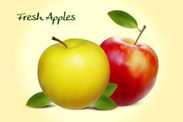 two realistic apples with green leaf