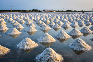 the salt field in thailand