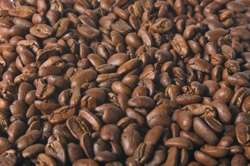 Close up beans on a white background