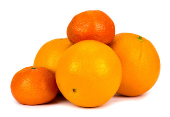 Oranges and tangerines on a white background