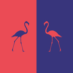 illustration flamingo