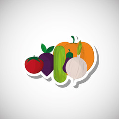 Organic shop design