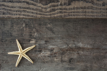 Fototapeta na wymiar Starfish on a rustic wood background 