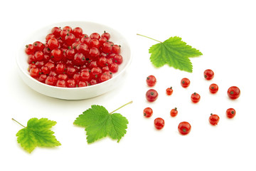 Red currant and bowl