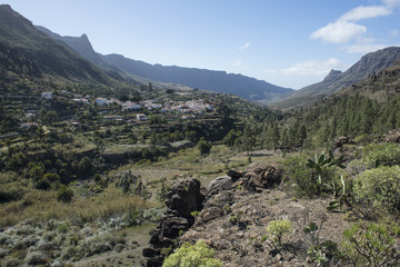 Fototapeta na wymiar Barranco de Fataga, Gran Canaria 