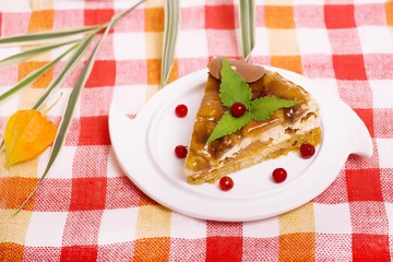 a piece of chocolate cake with mint and berries on a checkered background