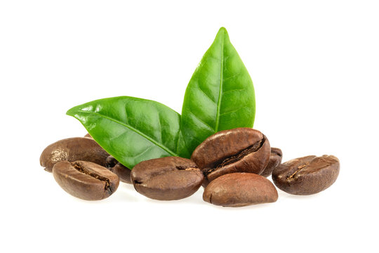 Fototapeta coffee grains and leaves isolated
